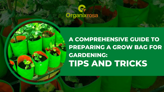 A Comprehensive Guide to Preparing a Grow Bag for Gardening: Tips and Tricks