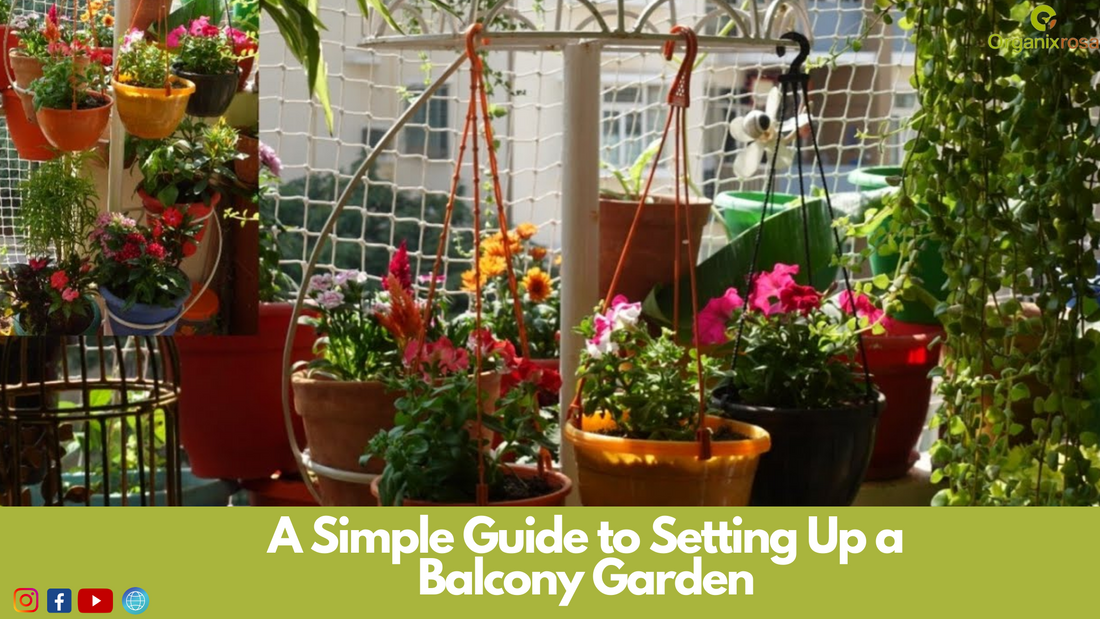 A Simple Guide to Setting Up a Balcony Garden