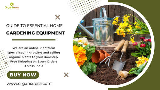 Essential Equipment Required for Gardening at Home